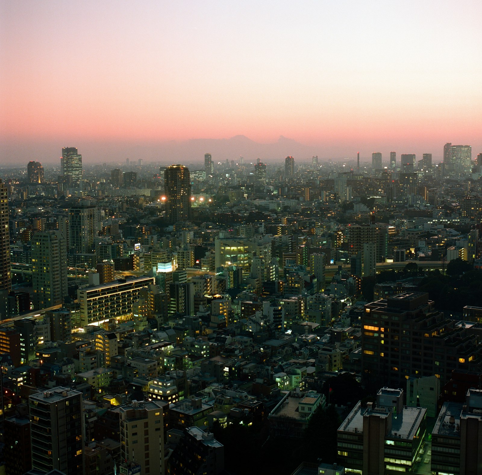 SiteMinder revenue tips article